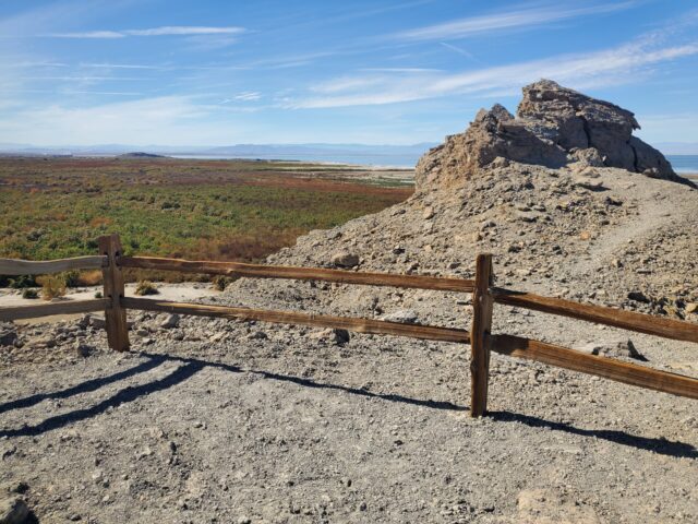 Turning Loss into Light: How Grief Can Fuel Creative Breakthroughs