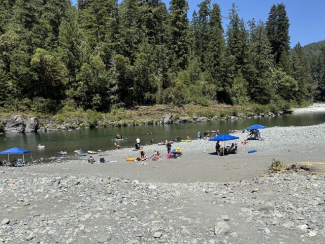 🌞 Creative Renewal: Inviting the Spirit of Summer into Your Creative Life